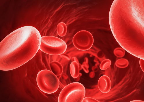 輸液時輸進(jìn)去的液體都去了哪兒了？